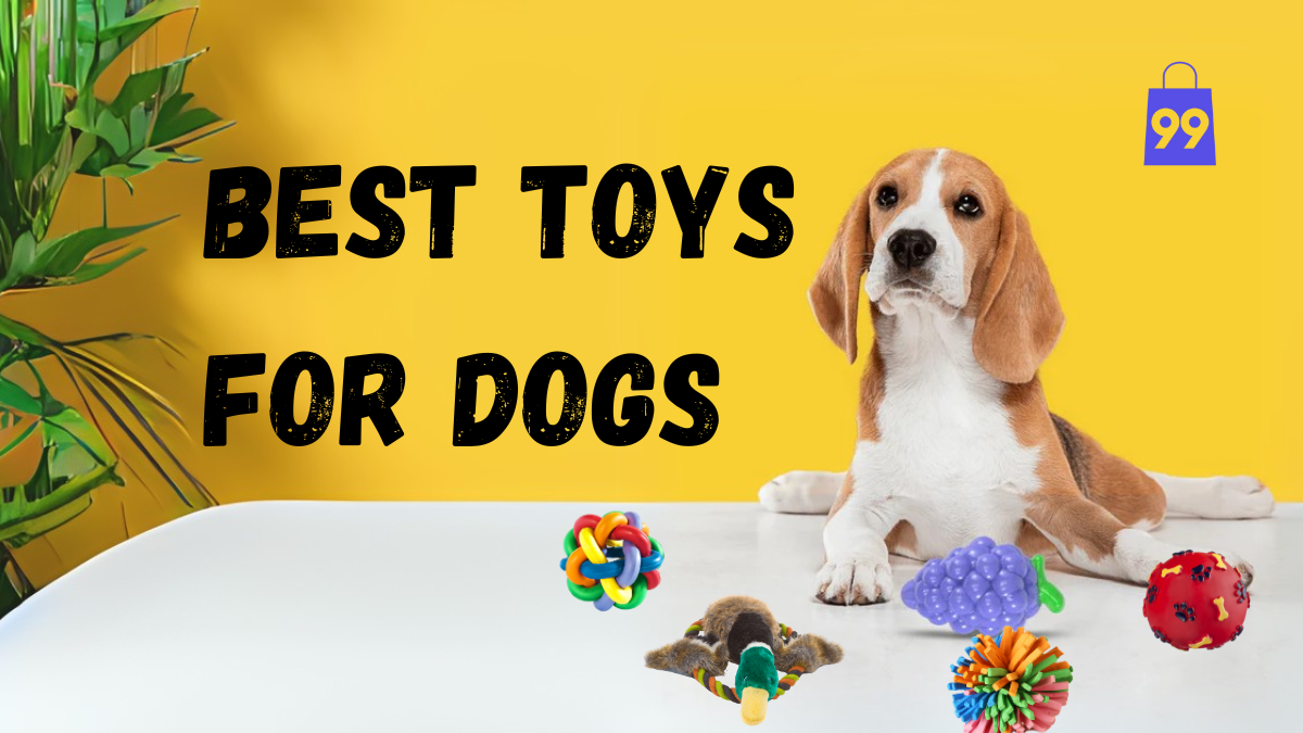 Best Toys for Dogs